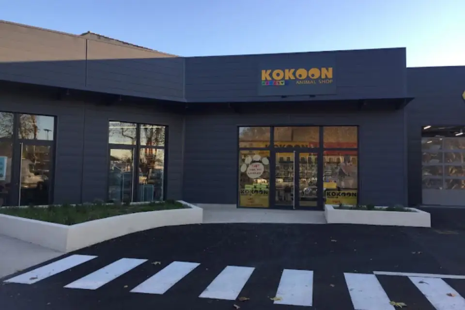 Kokoon Animal Shop